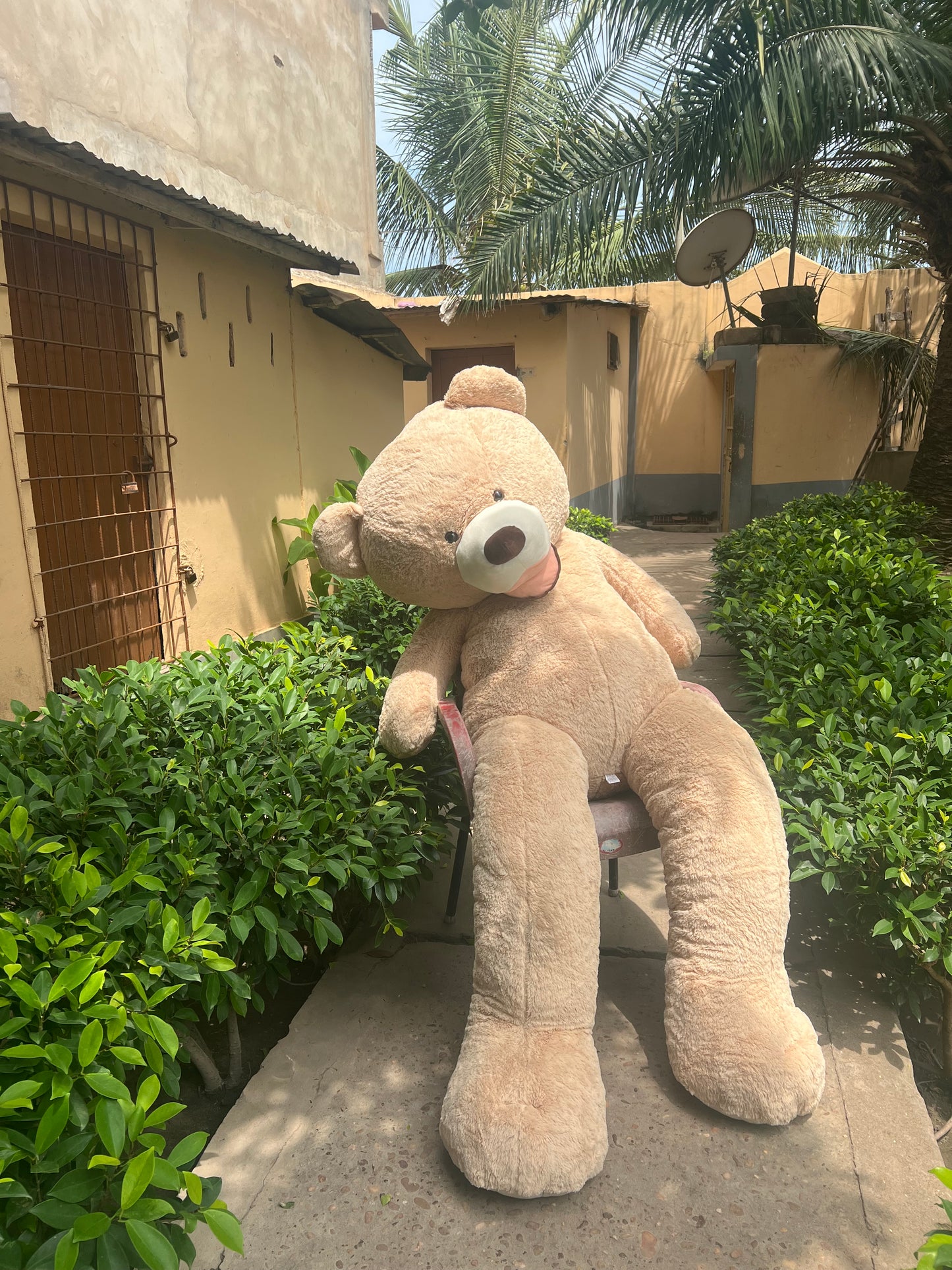 Peluche 2m