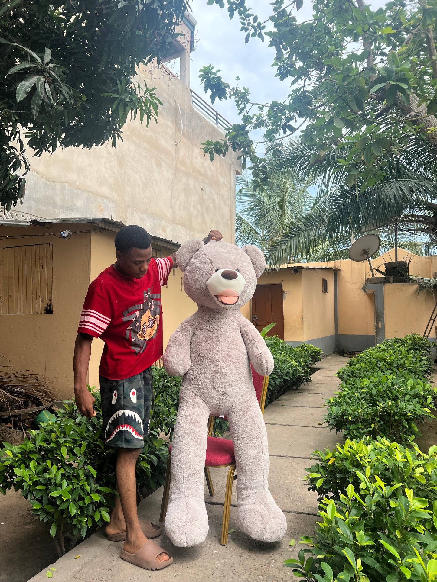 Peluche 1m60