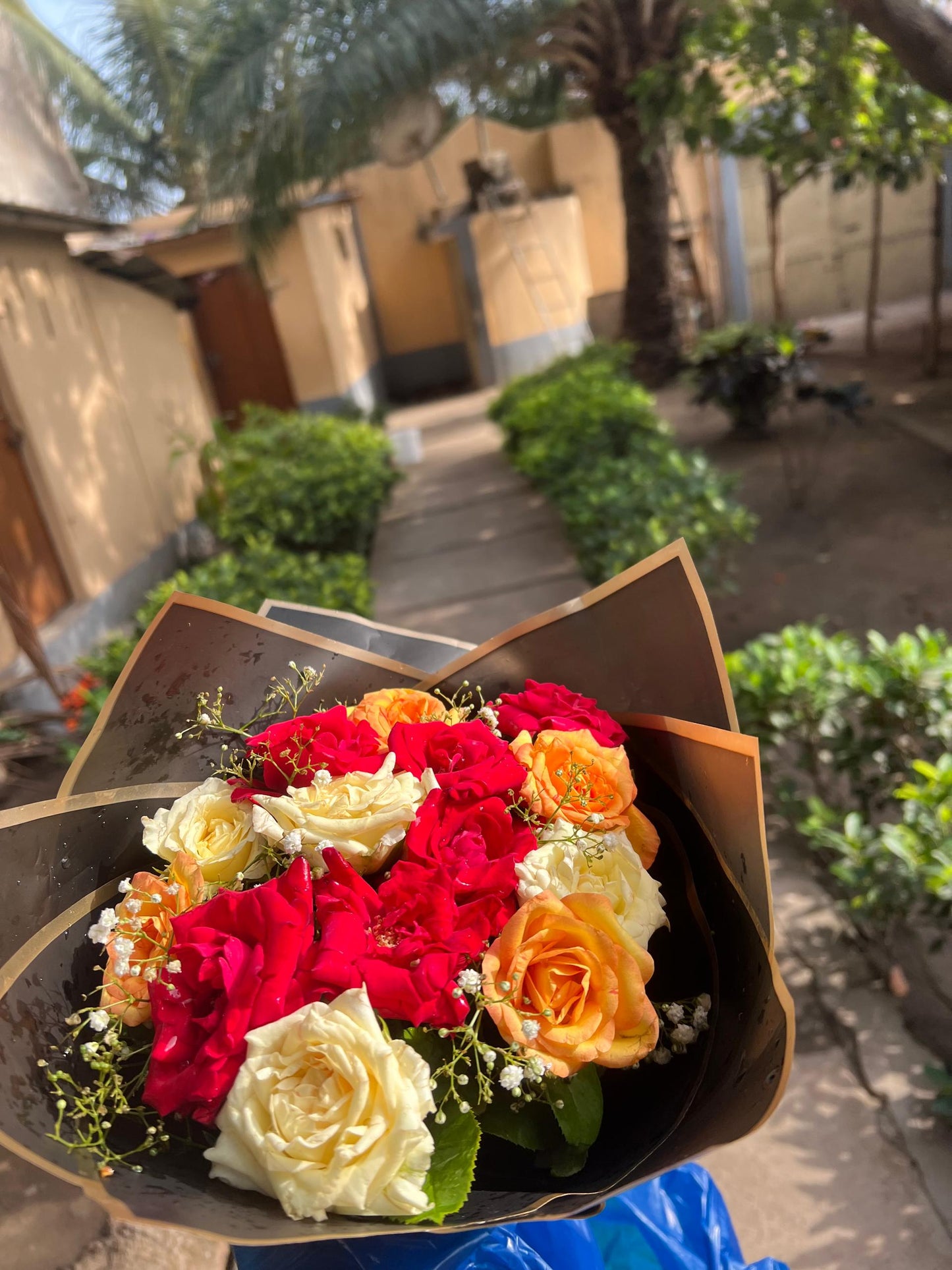 ROSE NATURELLES